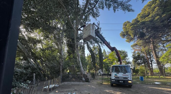 La Cooperativa Eléctrica de Trelew trabaja intensamente para reparar los daños provocados por el viento